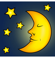 Bright moon and stars vector image