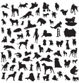 Set of different breeds of dogs on a white backgro vector image
