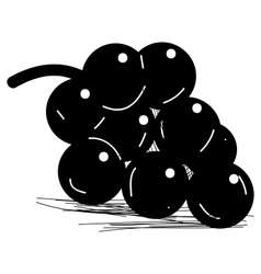 Silhouette pictogram of shiny grapes vector image