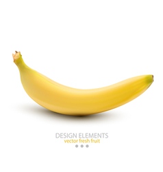 A banana on white background vector image