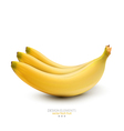Bananas on white background vector image