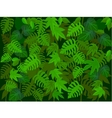 Tropical leaf background vector image