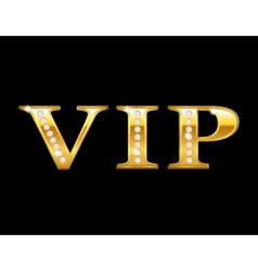 Vip golden card vector image