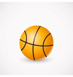 Basketball Ball vector image