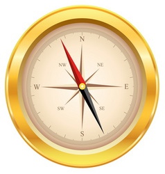 Gold compass vector image