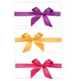 Collection of bows vector image