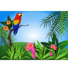 Parrot vector image