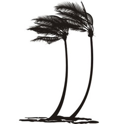 Palm trees in the wind vector image