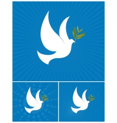 Dove of peace vector image