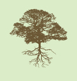 Tree silhouette vector image