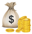 Dollar bag vector image