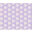 Ethnic modern geometric seamless pattern ornament vector image