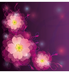Greeting or invitation card with flowers and curls vector image