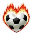 Football on fire vector image