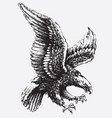 Swooping eagle vector image