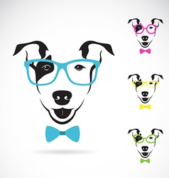 Dog bull terrier glasses vector image