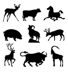 Ungulates animals vector image