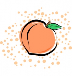 Peach vector image