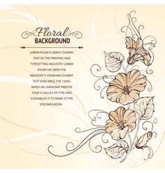 Bindweed on a sepia background vector image