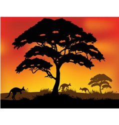 Safari background vector image