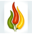 Hot chili pepper vector image