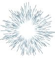 Firework vector image