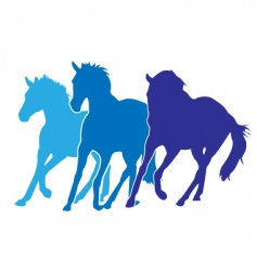 Horses silhouettes vector image