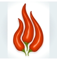 Hot chili pepper vector image