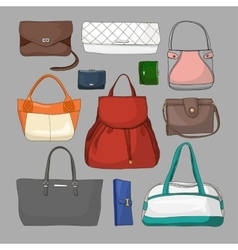 Collection of different women bags vector image
