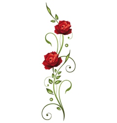 Rose love vector image