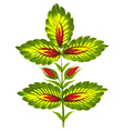 Green twig vector image