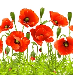 Red flower and green grass vector image