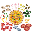 Pizza and ingredients vector image