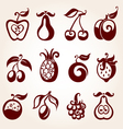 Fruits vector image