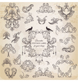 Set Calligraphic Design Elements vector image