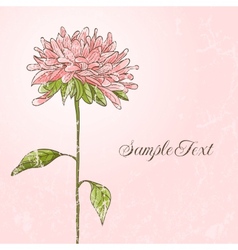 Hand drawn flower vector image
