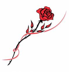 Red rose vector image