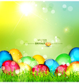 Painted Easter eggs vector image