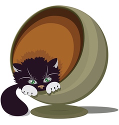 Cat in a round recliner vector image