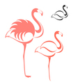 Flamingo vector image