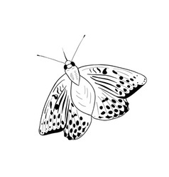 Black silhouette of simple butterfly vector image