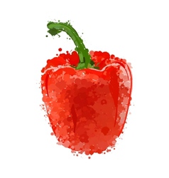 Red sweet pepper isolated on white vector image
