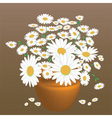 A beautiful bouquet of daisies vector image