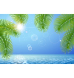 Sunny blue sky sea and palm branches vector image