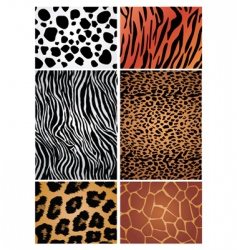 Animal print patterns vector image