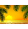 Sunset sea and palm branch vector image