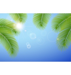Sunny blue sky and palm branches vector image