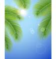Sunny blue sky and palm branches vector image