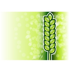 Green corn on the background vector image