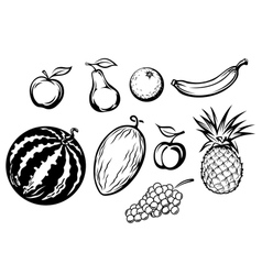 Set of fresh fruits icons vector image